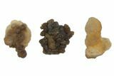 Lot: to Natural Chalcedony Nodules - Pieces #137982-2